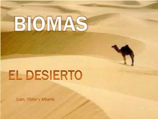 BIOMAS