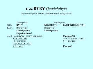 Třída: RYBY Osteichthyes Nejednotný systém v rámci vyšších taxonomických jednotek