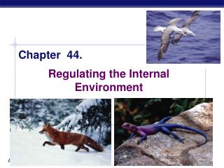 Regulating the Internal Environment