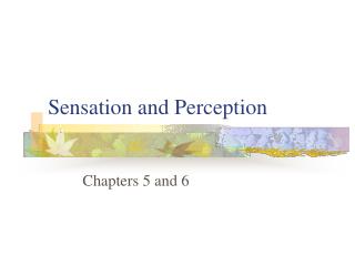 Sensation and Perception