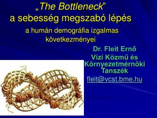 „ The Bottleneck ” a sebesség megszabó lépés a humán demográfia izgalmas következményei