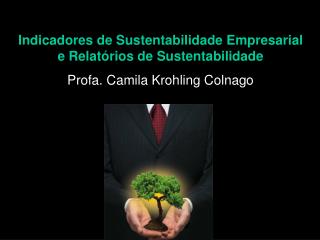 Indicadores de Sustentabilidade Empresarial e Relatórios de Sustentabilidade