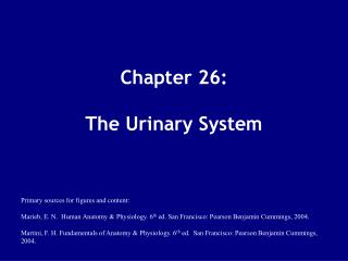 Chapter 26: The Urinary System