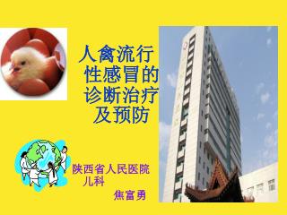 人禽流行性感冒的诊断治疗及预防 陕西省人民医院儿科 焦富勇