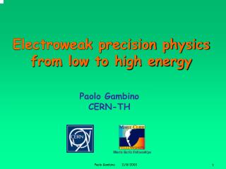 Electroweak precision physics from low to high energy