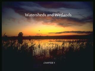 Watersheds and Wetlands
