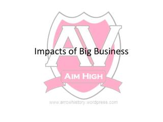 Impacts of Big Business