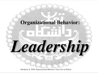 Organizational Behavior: Leadership
