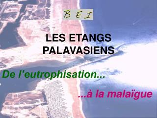 LES ETANGS PALAVASIENS