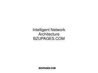 Intelligent Network Architecture BZUPAGES.COM