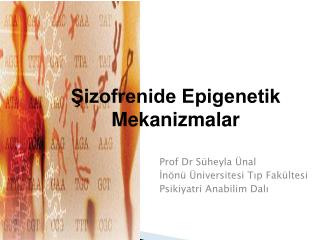 Prof Dr Süheyla Ünal İnönü Üniversitesi Tıp Fakültesi Psikiyatri Anabilim Dalı