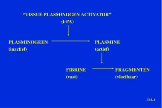 “TISSUE PLASMINOGEN ACTIVATOR” 				 (t-PA) PLASMINOGEEN				PLASMINE