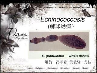 Echinococcosis ( 棘球蚴病）