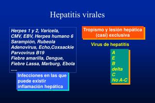 Hepatitis virales