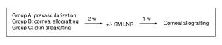 Group A: prevascularization Group B: corneal allografting Group C: skin allografting