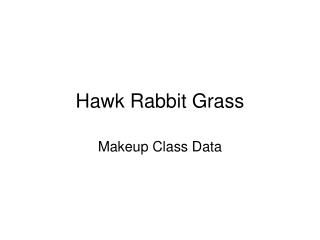 Hawk Rabbit Grass
