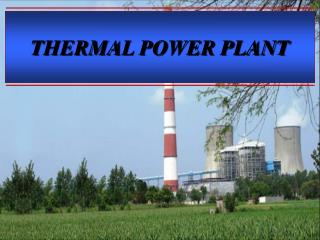 THERMAL POWER PLANT