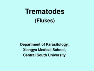 Trematodes (Flukes)