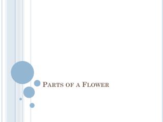 Parts of a Flower