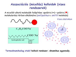 Termodinamikailag stabil kolloid rendszer; dinamikus egyensúly.