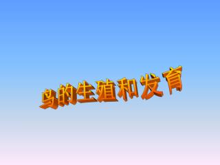 鸟的生殖和发育