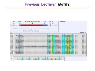 Previous Lecture: Motifs