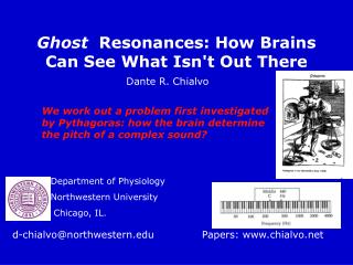 Ghost Resonances: How Brains Can See What Isn't Out There