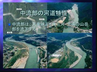 中流部の河道特性