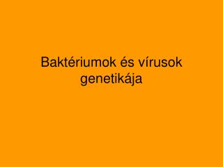 Baktériumok és vírusok genetikája