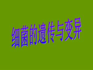 细菌的遗传与变异
