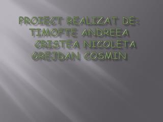 Proiect realizat de: Timofte Andreea Cristea Nicoleta Grejdan Cosmin