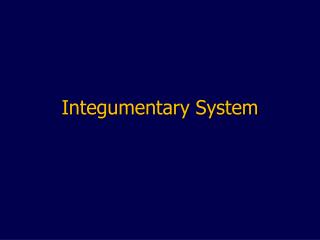 Integumentary System