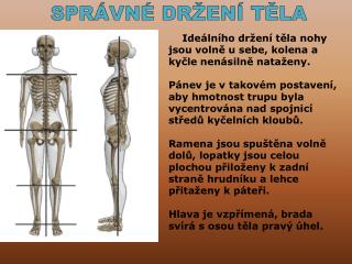 SPRÁVNÉ DRŽENÍ TĚLA