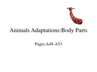 Animals Adaptations:Body Parts