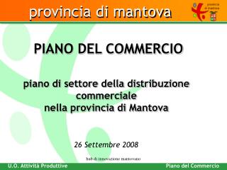 piano di settore della distribuzione commerciale nella provincia di Mantova