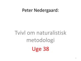 Peter Nedergaard: