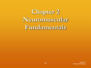 Chapter 2 Neuromuscular Fundamentals
