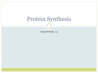 Protein Synthesis