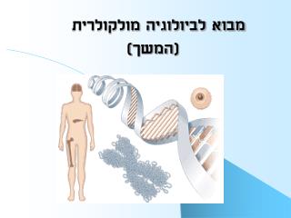 מבוא לביולוגיה מולקולרית (המשך)