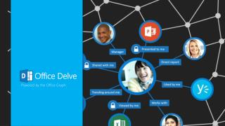 Office Delve