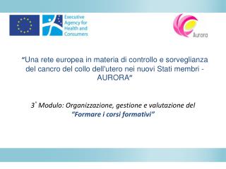 3 ° Modulo: Organizzazione , gestione e valutazione del “ Formare i corsi formativi ”