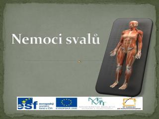 Nemoci svalů