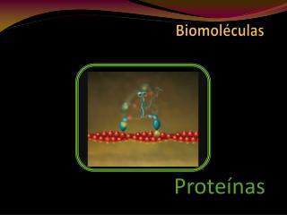 Biomoléculas