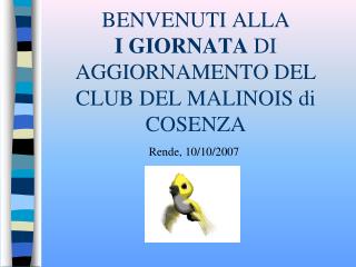 BENVENUTI ALLA I GIORNATA DI AGGIORNAMENTO DEL CLUB DEL MALINOIS di COSENZA