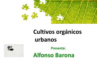 Cultivos orgánicos urbanos Presenta: Alfonso Barona