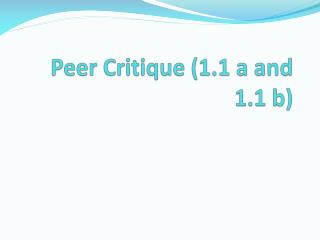 Peer Critique (1.1 a and 1.1 b)