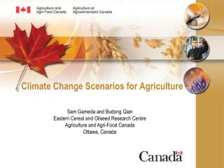Climate Change Scenarios for Agriculture