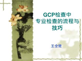 GCP 检查中 专业检查的流程与技巧