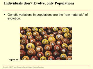 Individuals don’t Evolve, only Populations