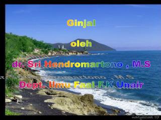 Ginjal oleh dr. Sri Hendromartono , M.S Dept. Ilmu Faal F.K Unair